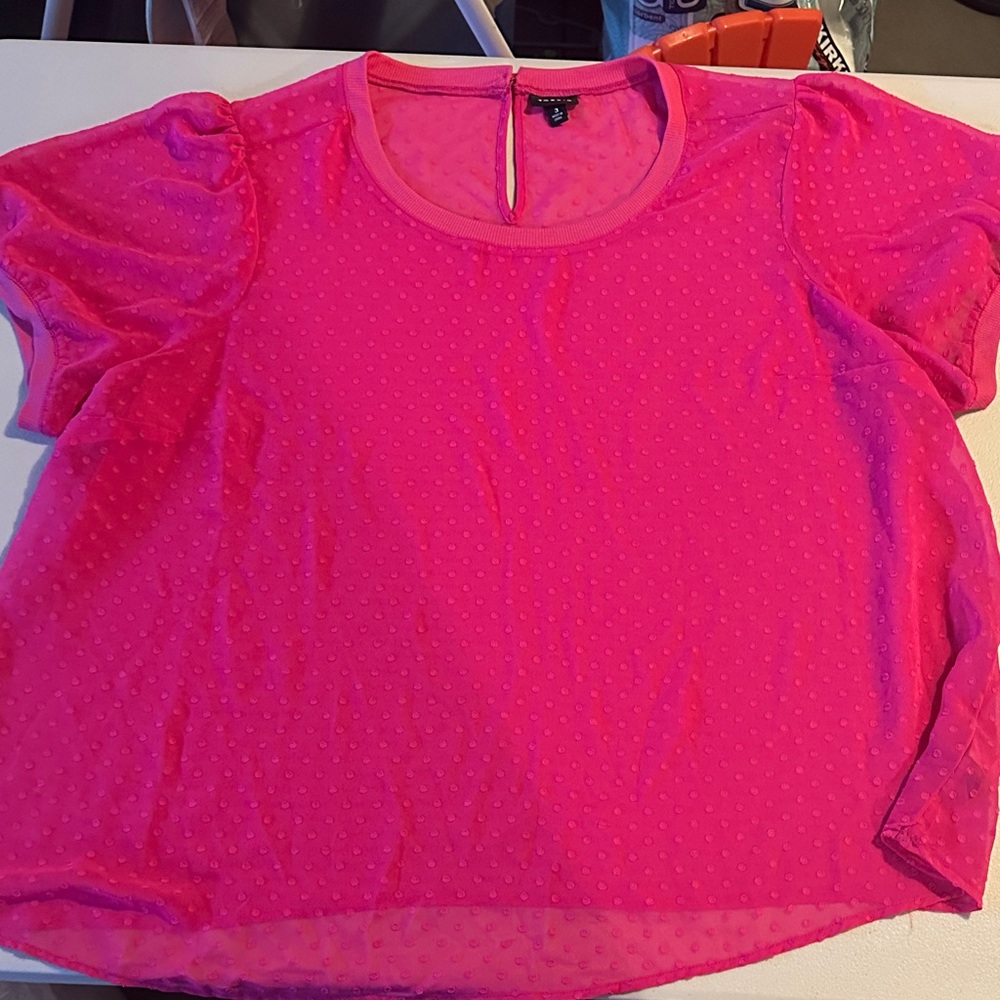 Torrid Bright Pink Sheer Blouse